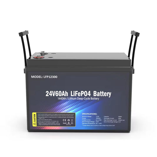 SS-24V60AH LiFePO4 Battery 1440WH - SHIELDEN